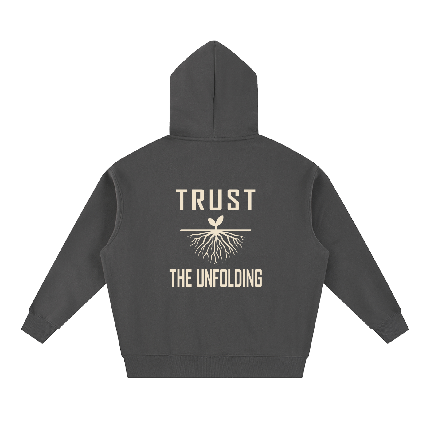 Shedd & Co Cropped “Trust the Unfolding” Hoodie